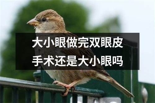大小眼做完双眼皮手术还是大小眼吗