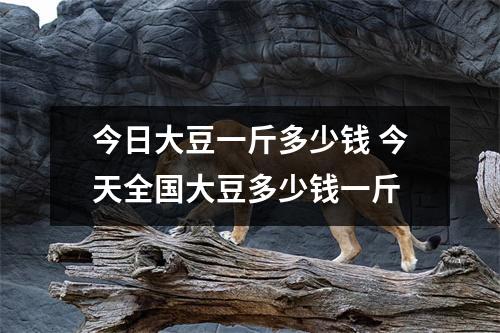 今日大豆一斤多少钱 今天全国大豆多少钱一斤