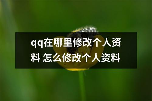 qq在哪里修改个人资料 怎么修改个人资料