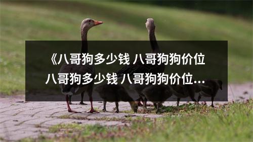 《八哥狗多少钱 八哥狗狗价位 八哥狗多少钱 八哥狗狗价位》