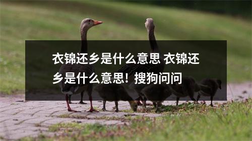 衣锦还乡是什么意思 衣锦还乡是什么意思!  搜狗问问