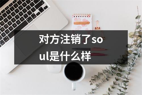 对方注销了soul是什么样