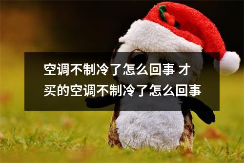 空调不制冷了怎么回事 才买的空调不制冷了怎么回事 空调不制冷了怎么回事 才买的空调不制冷了怎么回事