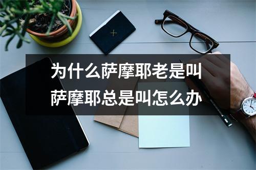 为什么萨摩耶老是叫 萨摩耶总是叫怎么办