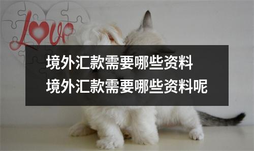 境外汇款需要哪些资料 境外汇款需要哪些资料呢