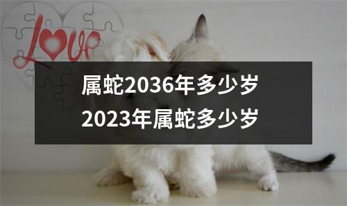 属蛇2036年多少岁 2023年属蛇多少岁 属蛇2036年多少岁 2023年属蛇多少岁