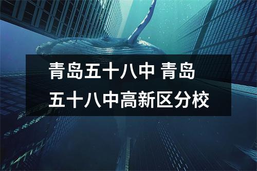 青岛五十八中 青岛五十八中高新区分校 青岛五十八中 青岛五十八中高新区分校