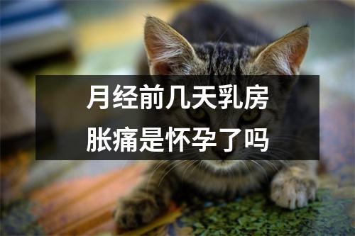 月经前几天乳房胀痛是怀孕了吗