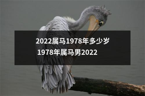 2022属马1978年多少岁 1978年属马男2022