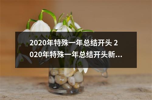 2020年特殊一年总结开头 2020年特殊一年总结开头新冠