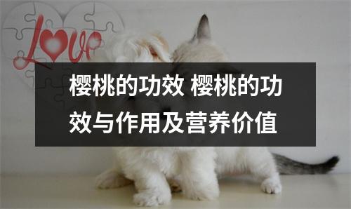 樱桃的功效 樱桃的功效与作用及营养价值 樱桃的功效 樱桃的功效与作用及营养价值