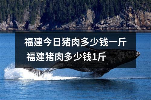 福建今日猪肉多少钱一斤 福建猪肉多少钱1斤 福建今日猪肉多少钱一斤 福建猪肉多少钱1斤