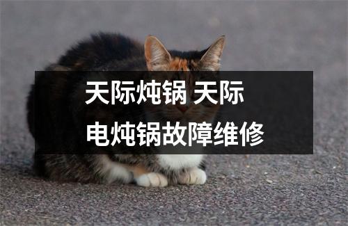 天际炖锅 天际电炖锅故障维修 天际炖锅 天际电炖锅故障维修