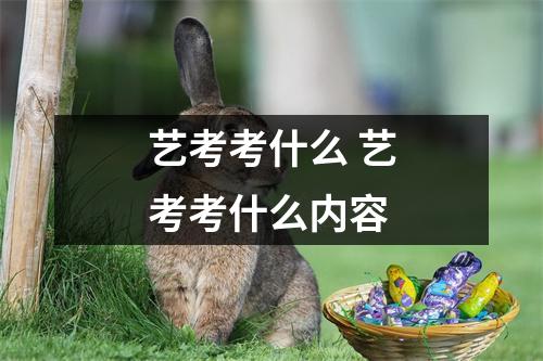 艺考考什么 艺考考什么内容 艺考考什么 艺考考什么内容