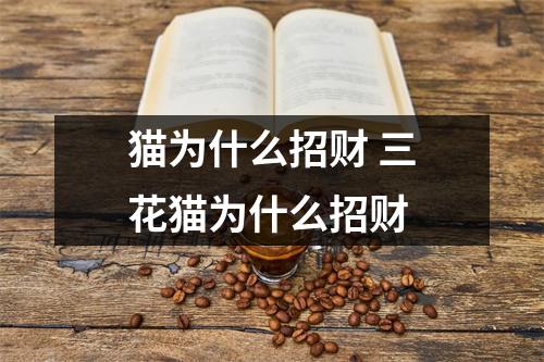 猫为什么招财 三花猫为什么招财