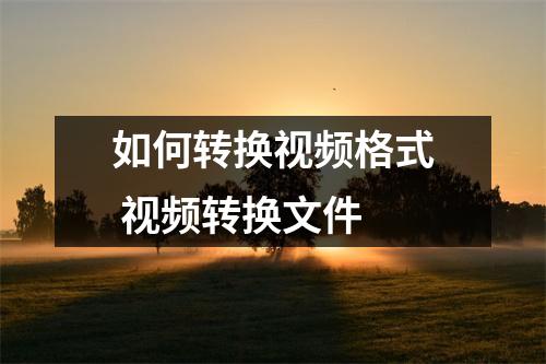 如何转换视频格式 视频转换文件