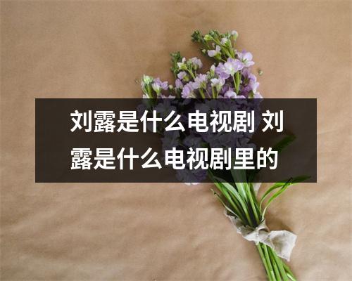 刘露是什么电视剧 刘露是什么电视剧里的 刘露是什么电视剧 刘露是什么电视剧里的