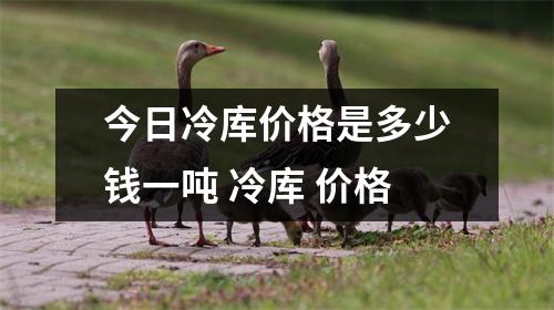 今日冷库价格是多少钱一吨 冷库 价格 今日冷库价格是多少钱一吨 冷库 价格