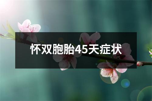 怀双胞胎45天症状