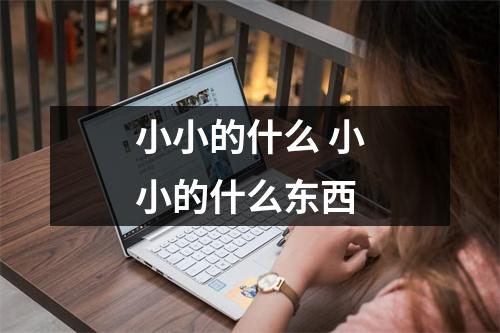 小小的什么 小小的什么东西