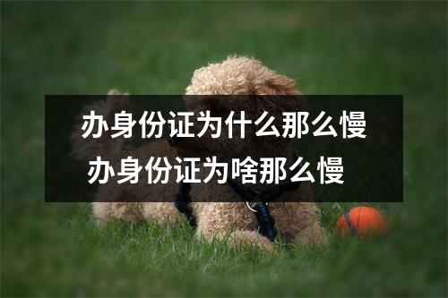 办身份证为什么那么慢 办身份证为啥那么慢 办身份证为什么那么慢 办身份证为啥那么慢