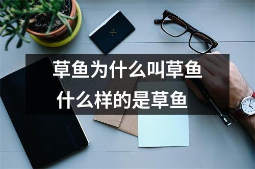 草鱼为什么叫草鱼 什么样的是草鱼 草鱼为什么叫草鱼 什么样的是草鱼
