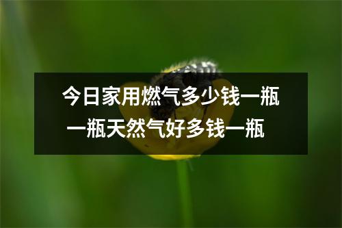 今日家用燃气多少钱一瓶 一瓶天然气好多钱一瓶