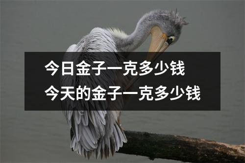 今日金子一克多少钱 今天的金子一克多少钱 今日金子一克多少钱 今天的金子一克多少钱