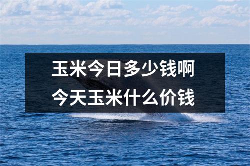 玉米今日多少钱啊 今天玉米什么价钱 玉米今日多少钱啊 今天玉米什么价钱