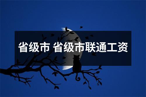 省级市 省级市联通工资