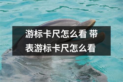 游标卡尺怎么看 带表游标卡尺怎么看 游标卡尺怎么看 带表游标卡尺怎么看
