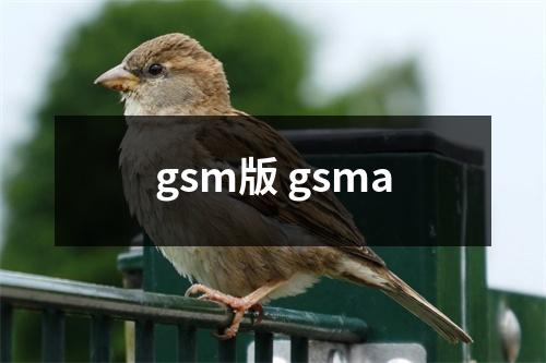 gsm版 gsma