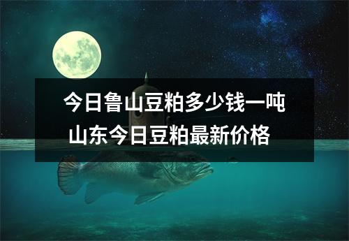 今日鲁山豆粕多少钱一吨 山东今日豆粕最新价格 今日鲁山豆粕多少钱一吨 山东今日豆粕最新价格