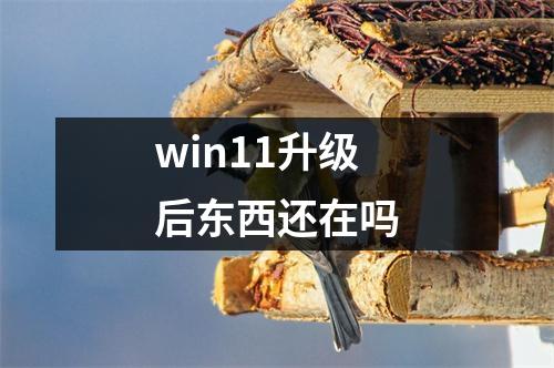 win11升级后东西还在吗