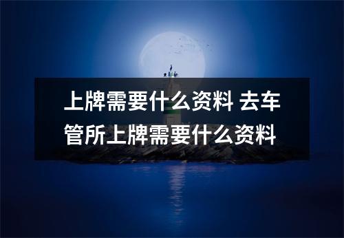 上牌需要什么资料 去车管所上牌需要什么资料
