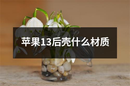 苹果13后壳什么材质 苹果13后壳什么材质