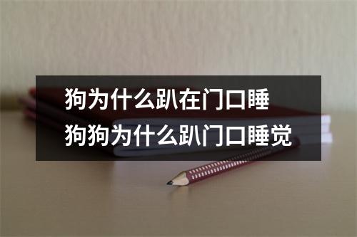 狗为什么趴在门口睡 狗狗为什么趴门口睡觉