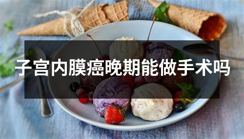 子宫内膜癌晚期能做手术吗