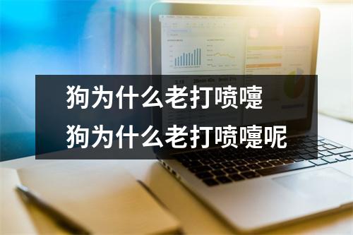 狗为什么老打喷嚏 狗为什么老打喷嚏呢