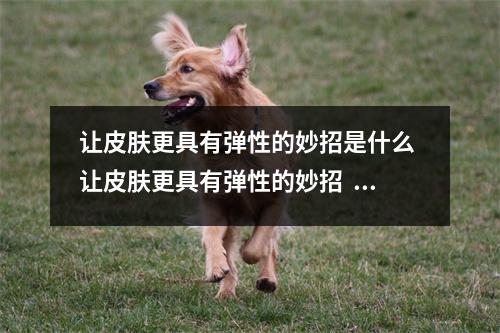 让皮肤更具有弹性的妙招是什么 让皮肤更具有弹性的妙招 让皮肤更具有弹性的妙招是什么 让皮肤更具有弹性的妙招