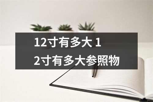 12寸有多大 12寸有多大参照物 12寸有多大 12寸有多大参照物