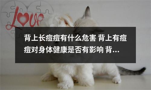 背上长痘痘有什么危害 背上有痘痘对身体健康是否有影响 背上长痘会传染吗 背上长痘痘有什么危害 背上有痘痘对身体健康是否有影响 背上长痘会传染吗