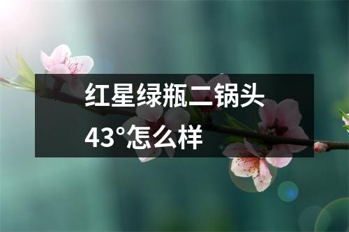 红星绿瓶二锅头43°怎么样 
