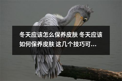 冬天应该怎么保养皮肤 冬天应该如何保养皮肤 这几个技巧可以远离干燥 冬天应该怎么保养皮肤 冬天应该如何保养皮肤 这几个技巧可以远离干燥