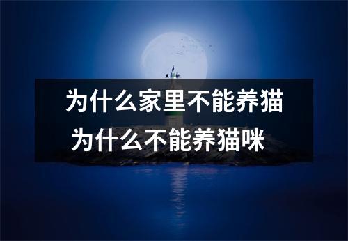 为什么家里不能养猫 为什么不能养猫咪 为什么家里不能养猫 为什么不能养猫咪