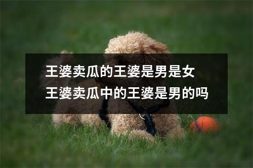 王婆卖瓜的王婆是男是女 王婆卖瓜中的王婆是男的吗