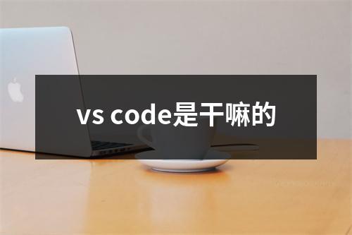 vs code是干嘛的