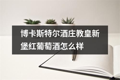 博卡斯特尔酒庄教皇新堡红葡萄酒怎么样