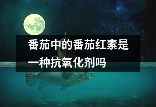 番茄中的番茄红素是一种抗氧化剂吗