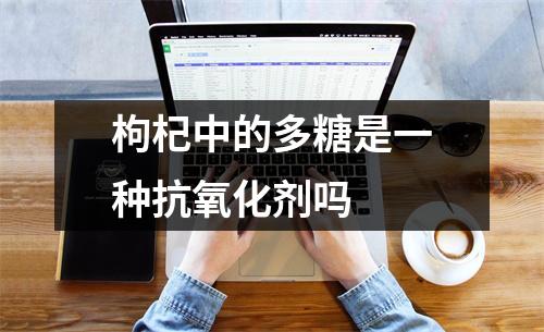 枸杞中的多糖是一种抗氧化剂吗